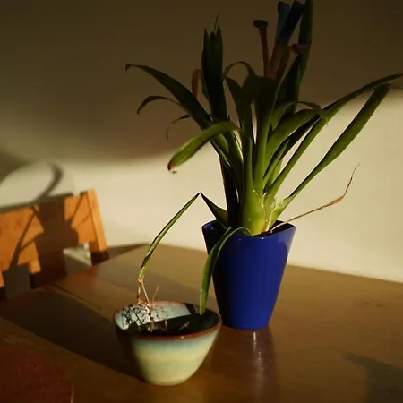 アパート The Fitz ダブリン