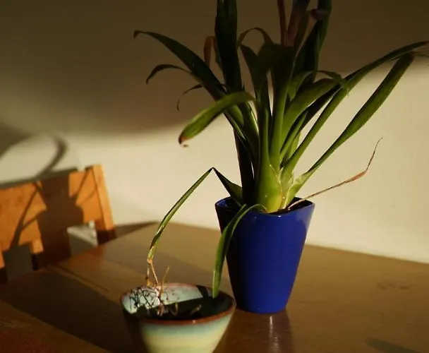 Apartment The Fitz Dublin