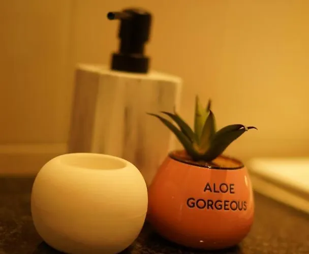 Apartment The Fitz *